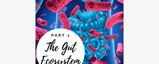How to Cultivate Your Microbiome, Part I: The Gut Ecosystem