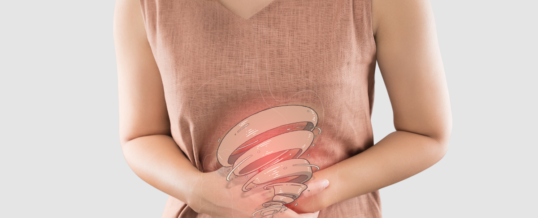 Gut Health Strategies for IBD Flares